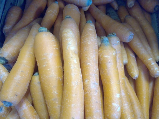 Carottes