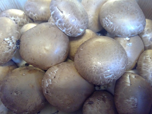 Champignons