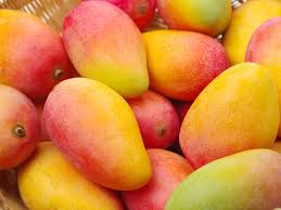 Mangue