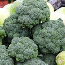 Brocoli